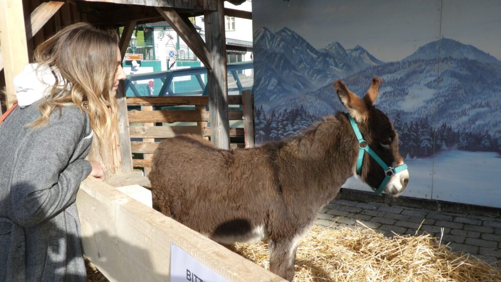 Bei der Lebendigen Krippe - Foto: Mariazell Online