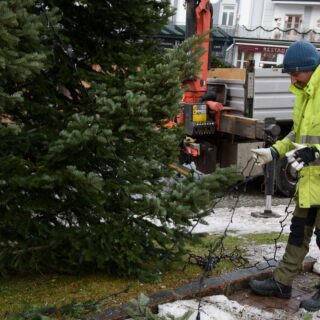 Der Christbaum steht wieder - Foto: Josef Kuss