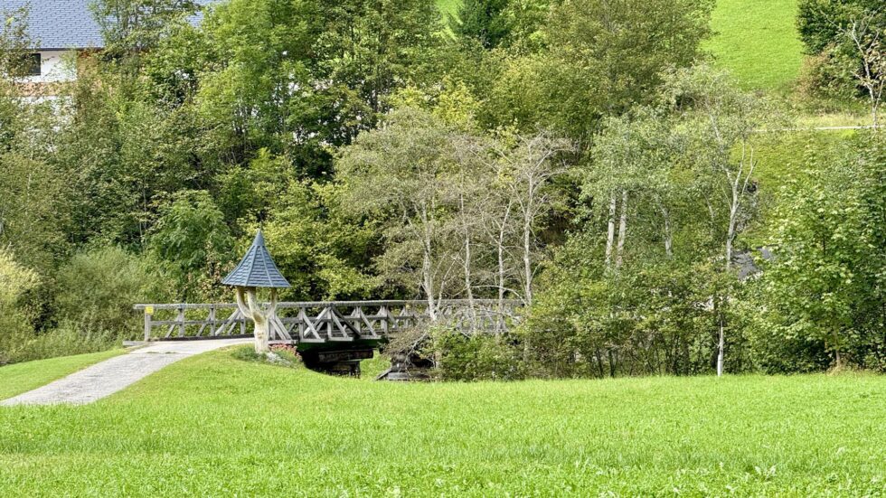 Waldsiedel - Foto: Franz Peter Stadler