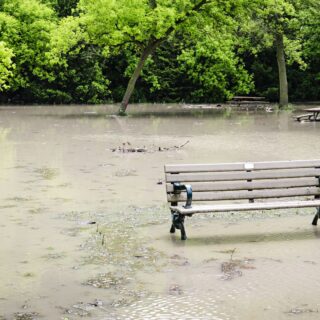 Symbolbild - Foto: INGImage