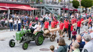 Maibaumaufstellen 2025 - Foto: Mariazell Online, Werner Girrer