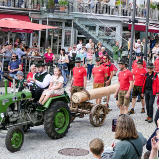 Maibaumaufstellen 2025 - Foto: Mariazell Online, Werner Girrer