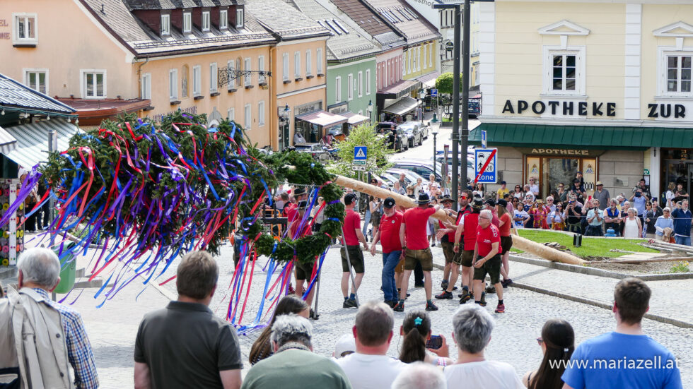 Maibaumaufstellen 2025 - Foto: Mariazell Online, Werner Girrer