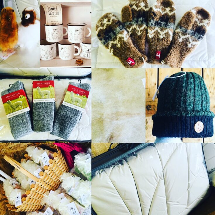 Advent im Alpakastadl - Foto: Facebook