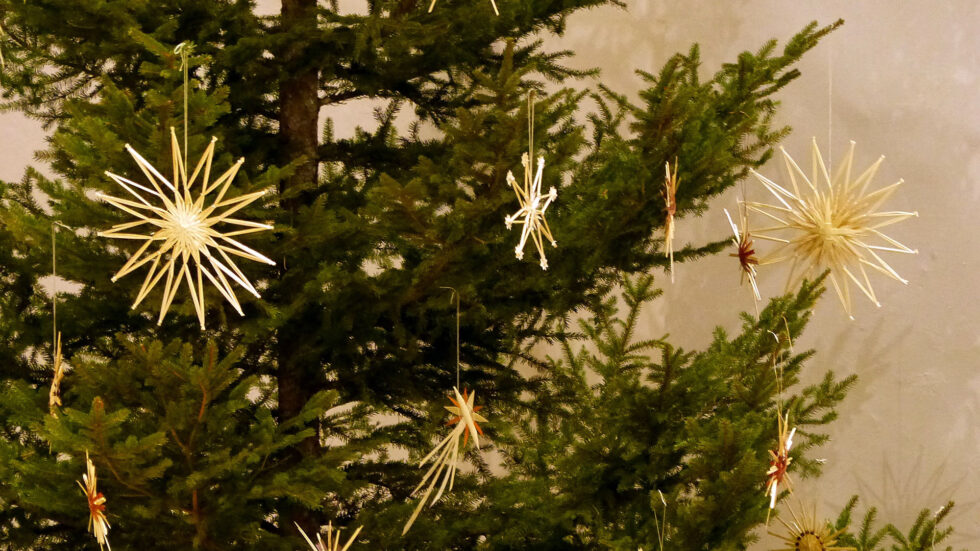 Weihnachtsbaum in der Basilika Mariazell - Foto: Mariazell Online