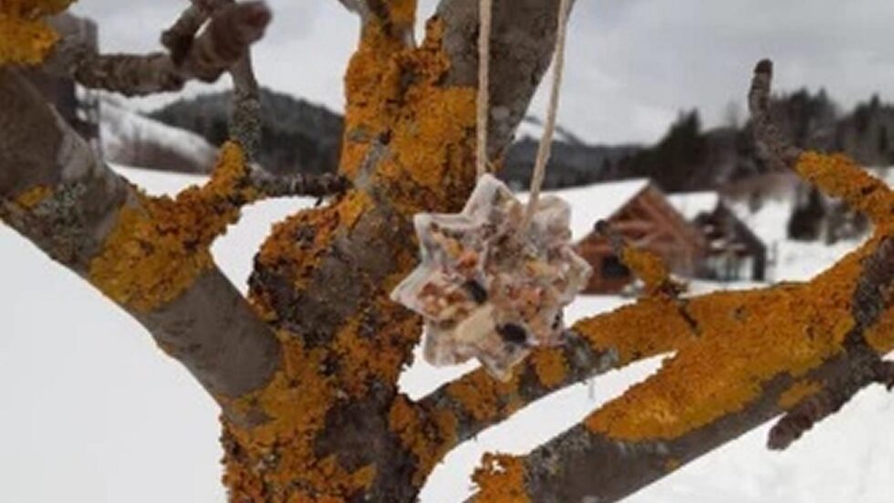 Basteln im Winter - Foto: Naturpark Ötscher-Tormäuer