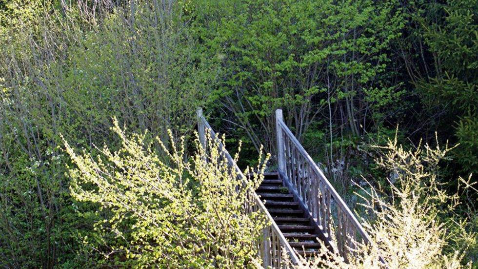 Ursprung - Foto: Mariazell Online