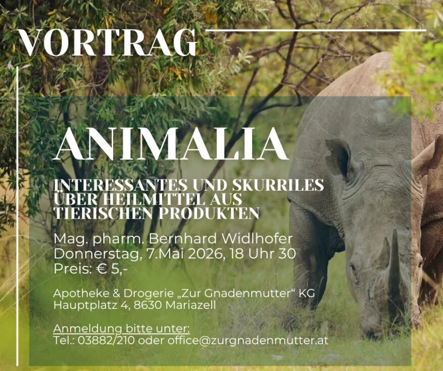 Animalia - Vortrag