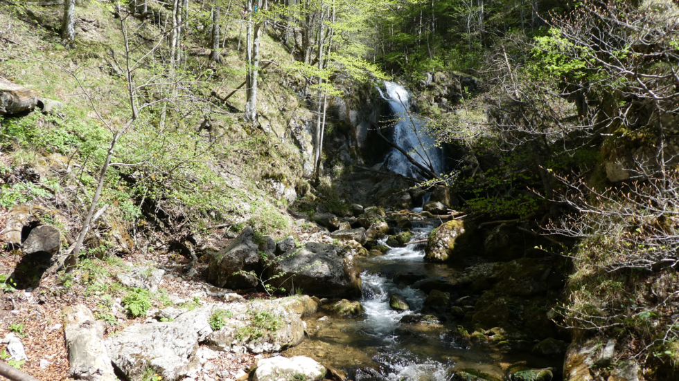 Trefflingfall - Foto: Mariazell Online
