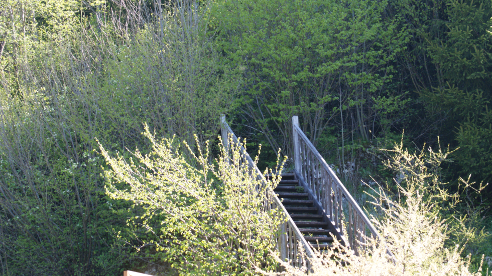 Zugang Ursprungsfelsen - Foto: Mariazell Online