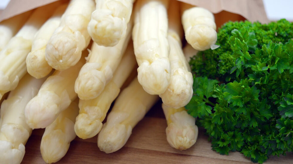Weißer Spargel - Foto: AKTIVHOTEL Weisser Hirsch
