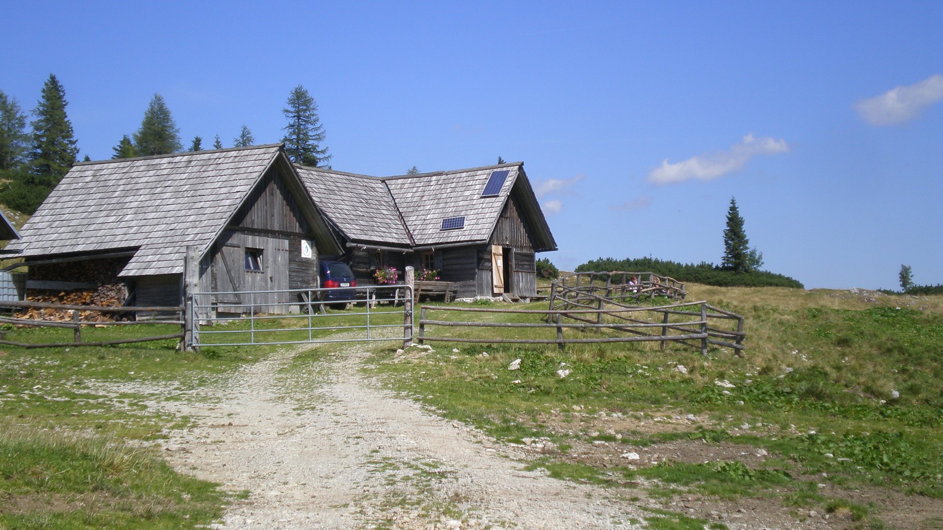 Graualm - Foto: Mariazell Online