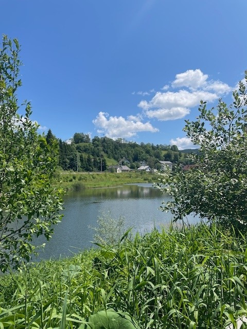 Stausee Wienerbruck - Foto: Naturpark Ötscher-Tormäuer