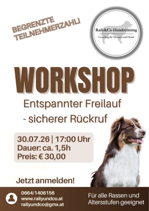 Raily&Co Hundetraining - Coaching für Mensch und Hund