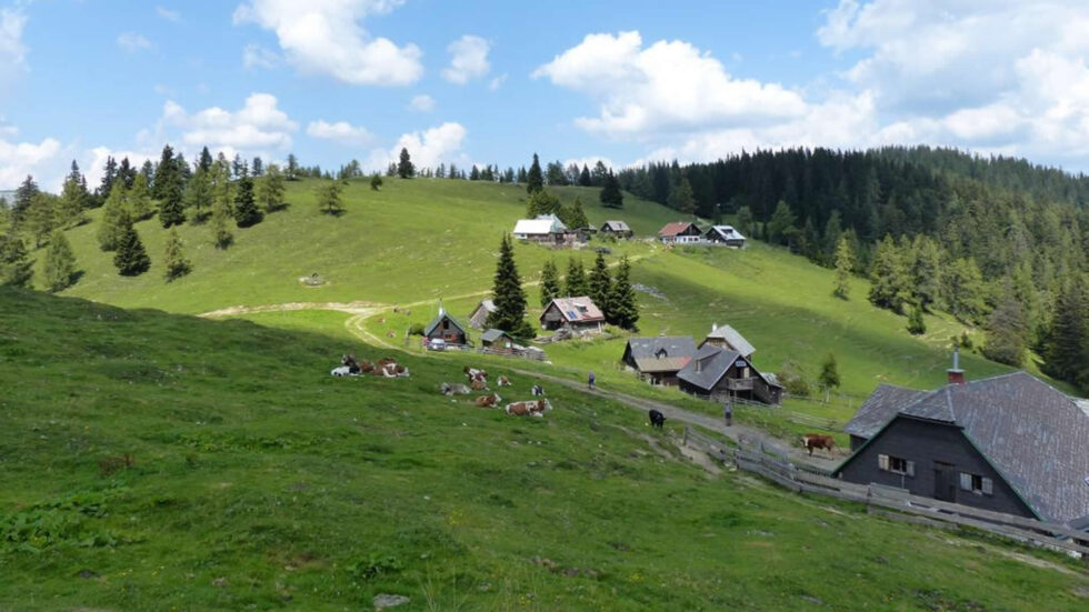 Göriacher Alm - Foto: Mariazell Online
