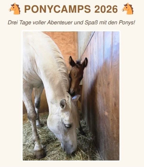 Ponycamps 2026 am Pferdehof Königbauer