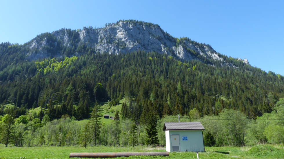 Spielmäuer - Foto: Mariazell Online