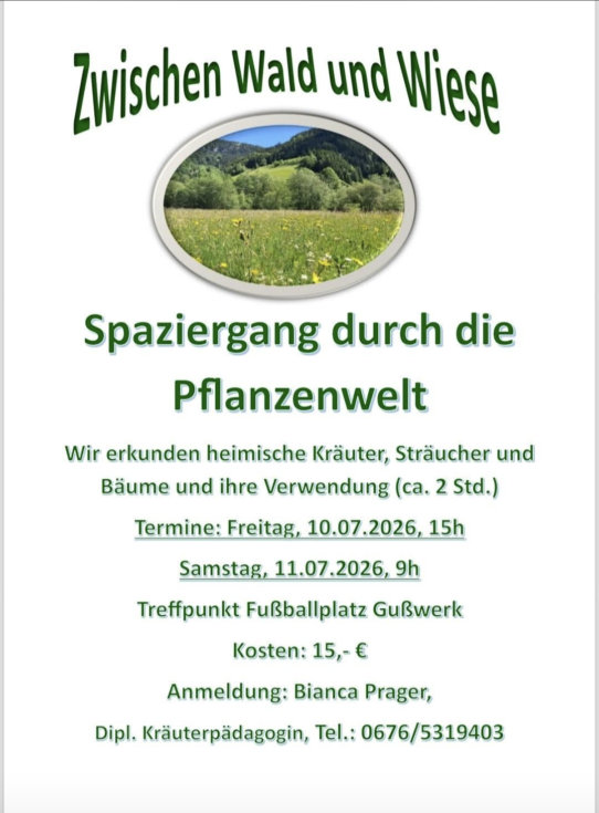 Zwischen Wald und Wiese - Dipl. Kräuterpädagogin Bianca Prager