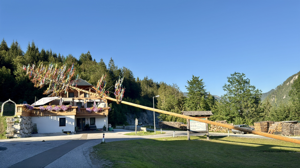 Maibaumumschneiden beim Franzbauer - Foto: Ing. Franz Peter Stadler
