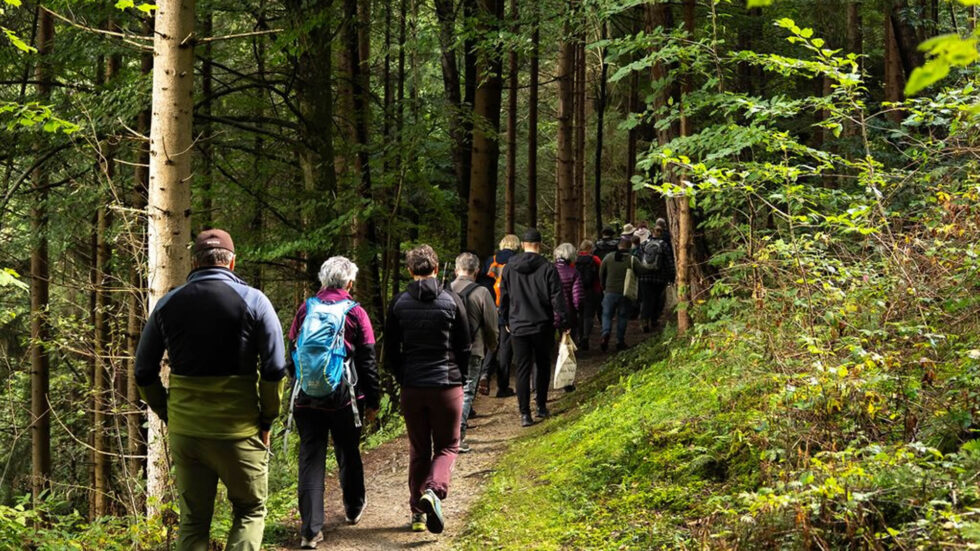 Führung "Wald der Zukunft" - Foto: ÖBF/Tobias Kiegerl