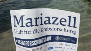 Krebsforschungslauf 2026 am Erlaufsee - Foto: Ulrike Schweiger