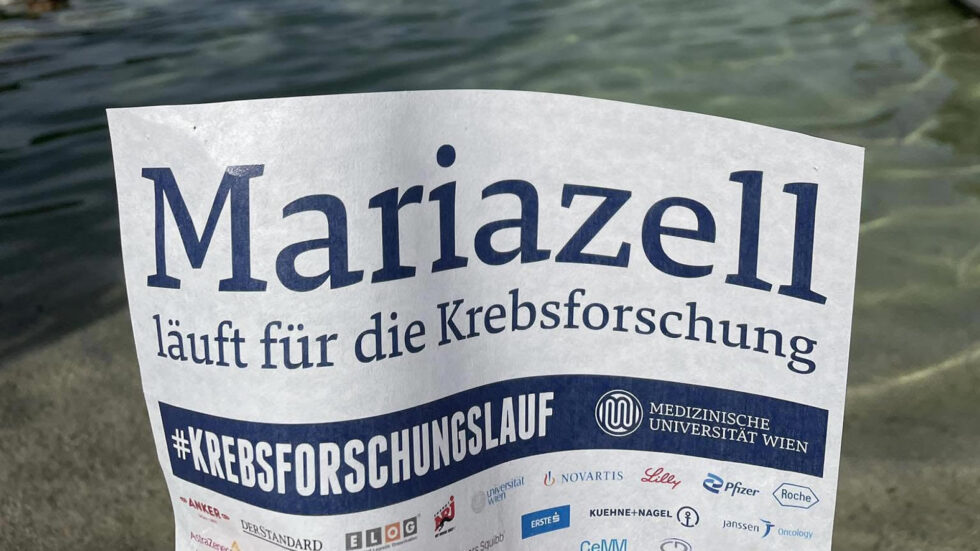 Krebsforschungslauf 2026 am Erlaufsee - Foto: Ulrike Schweiger