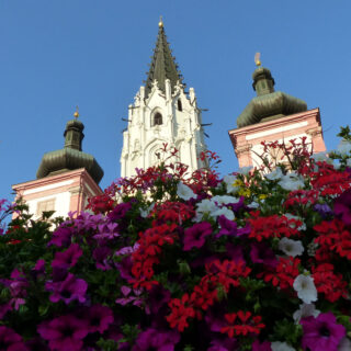 Blumenschmuck in Mariazell - Foto: Mariazell Online