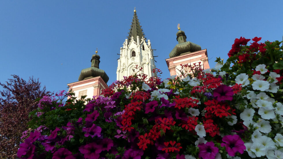 Blumenschmuck in Mariazell - Foto: Mariazell Online