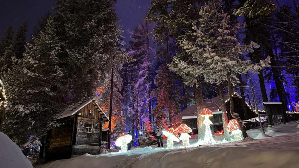 Lichterzauber auf der Bürgeralpe in Mariazell - Foto: Bürgeralpe Mariazell