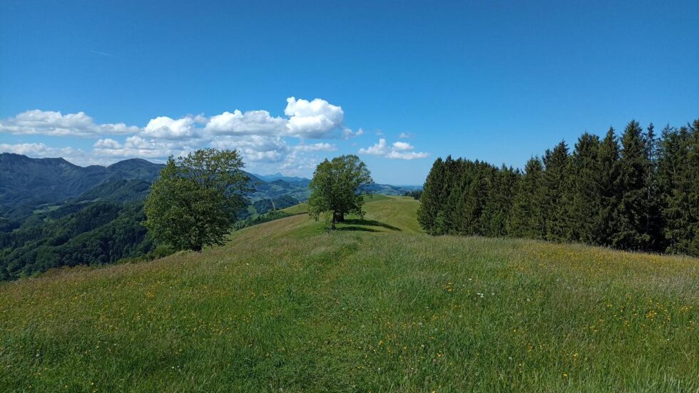 Sonnberg (Salzburger Mariazellerweg) - Foto: zVg. ÖAV-Sektion Weitwanderer